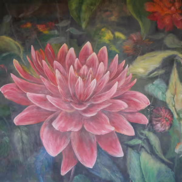 Dahlien in rot
