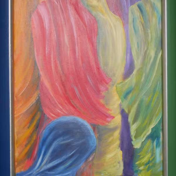 Bunte Sarees