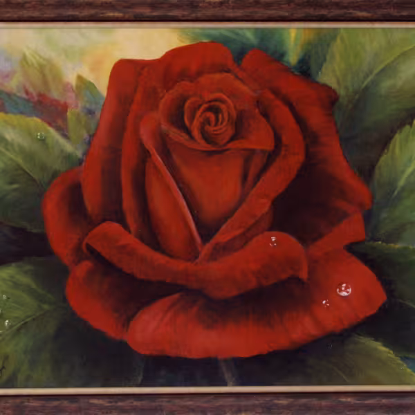 Rose dunkelrot