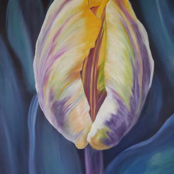 Tulpe mit violettem Stängel
