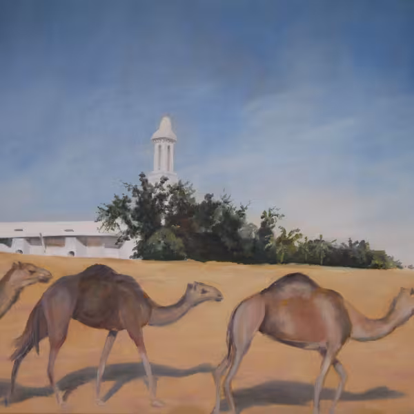 Kamele in der Wüste (in Dubai mit kleiner weißer Moschee)