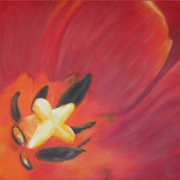 Im roten Tulpenkelch