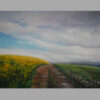 After the rain in the rapeseed