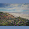 Wild roses (on Wangerooge)