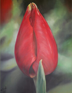 Red tulip with a leaf