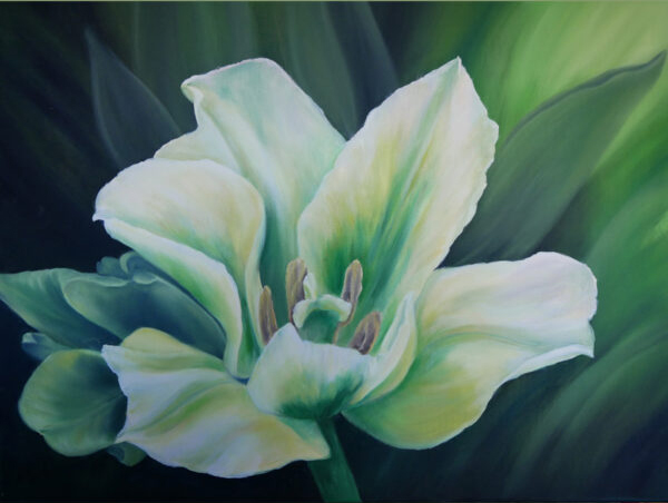 White bloomed tulip