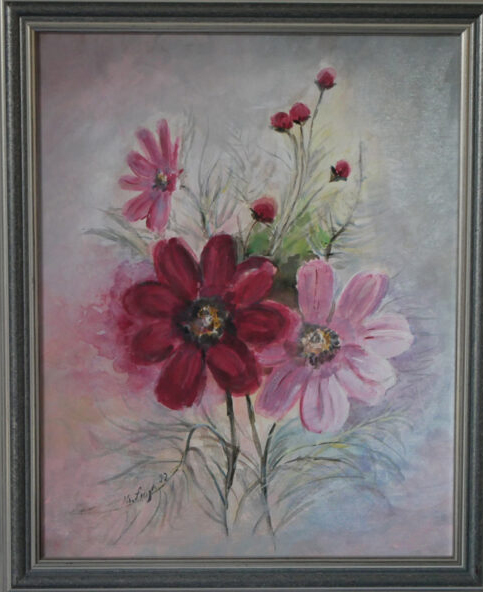 Cosmea