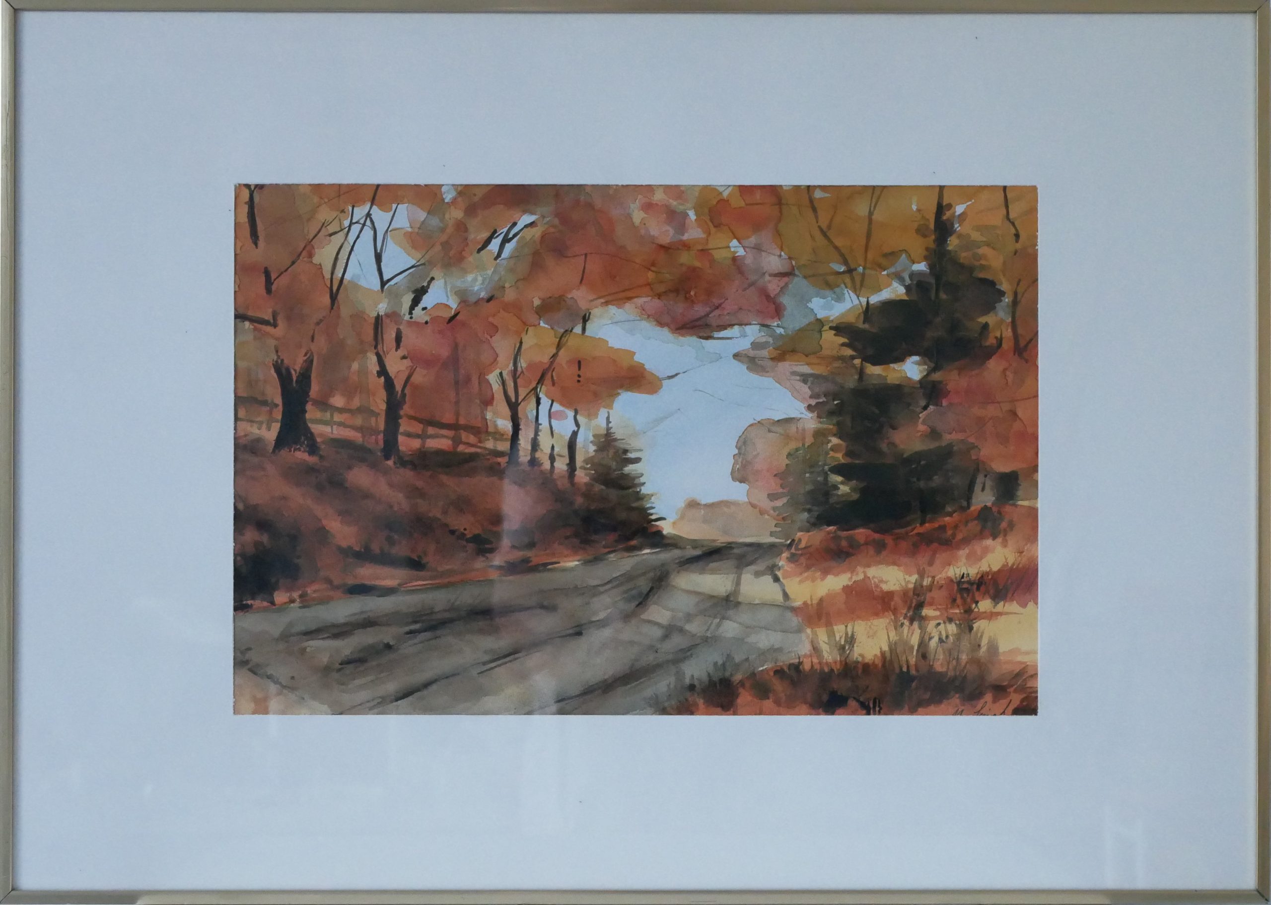 Autumn forest