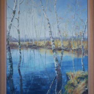 Brich trees in the (Hiller) bog