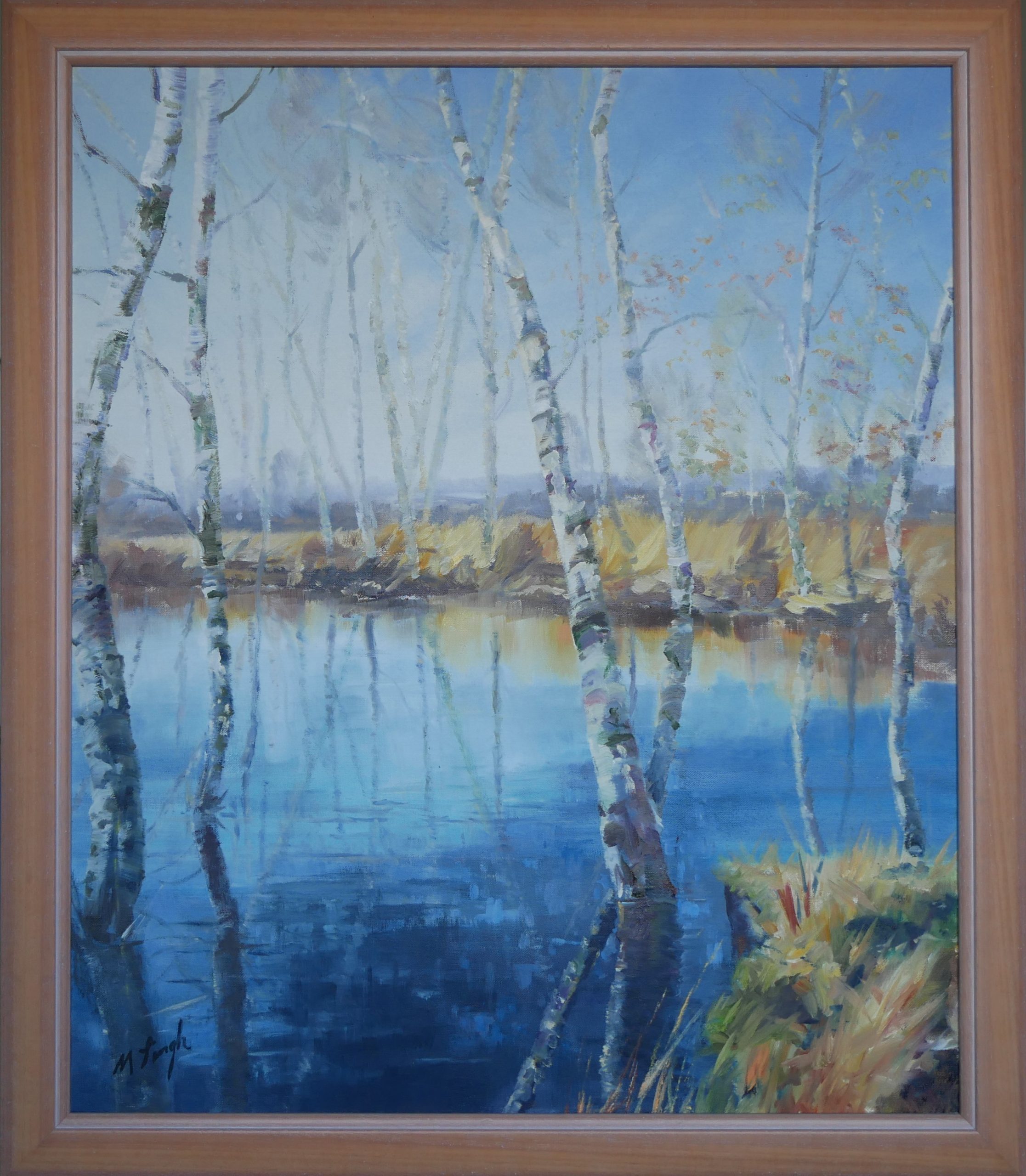 Brich trees in the (Hiller) bog