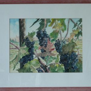 Chianti in Tuscany