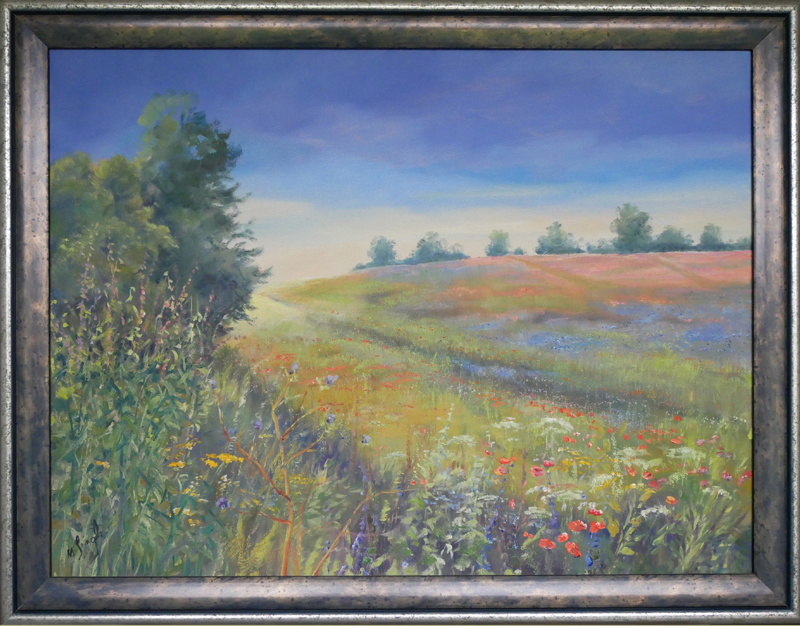Summer meadow on the Müritz