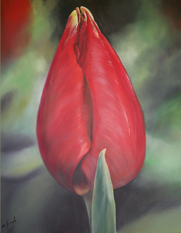 Red tulip with a leaf