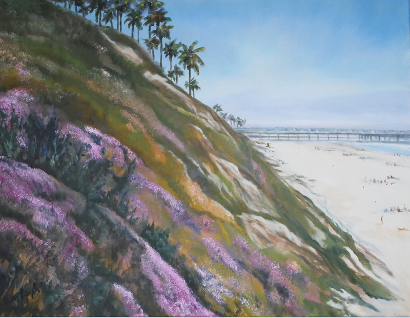 Pacefic coast in San Diego (in California)