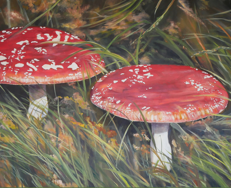 Two toadstools