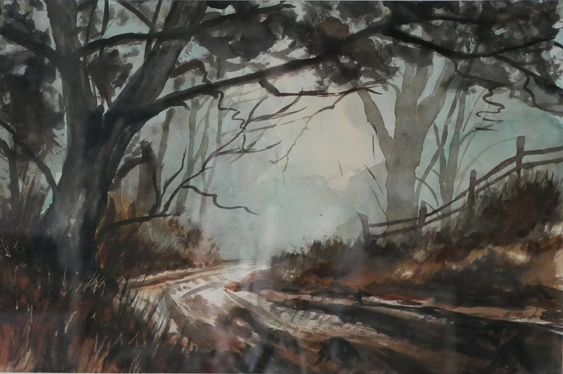 Morning mist in the forest