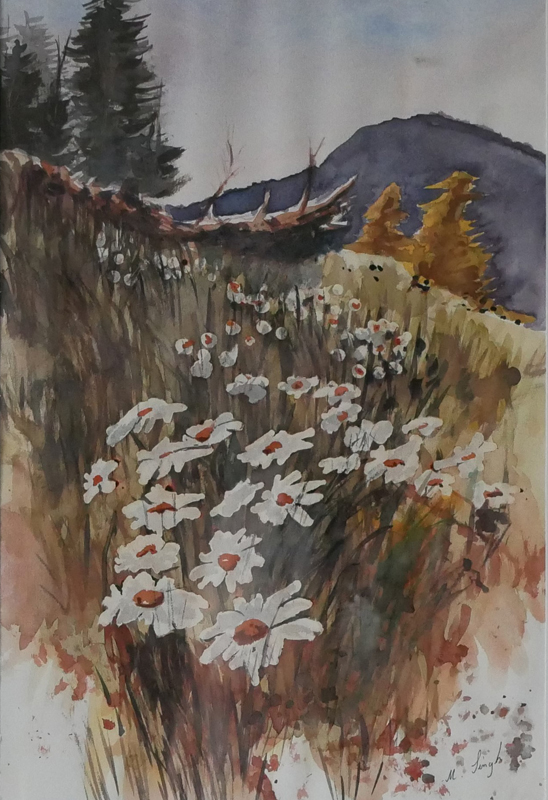Daisies in the meadow