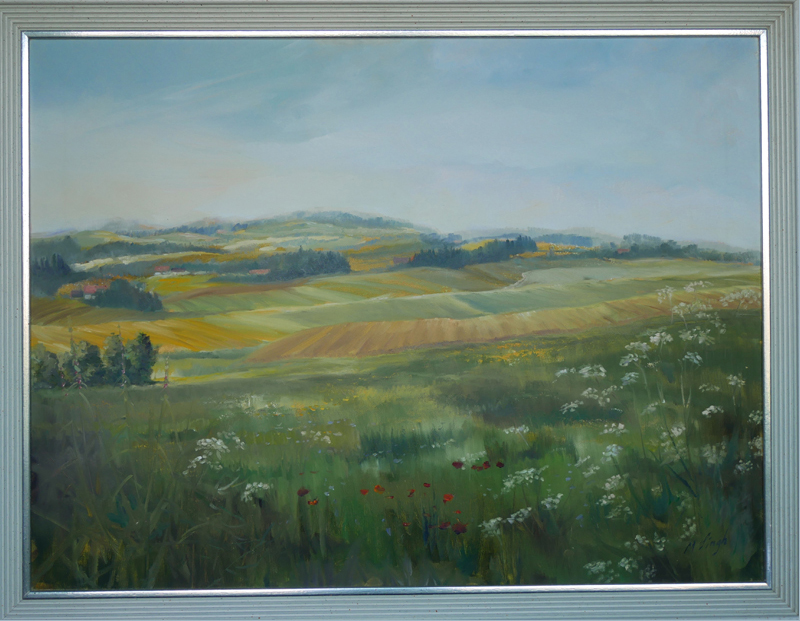 Fields and meadows