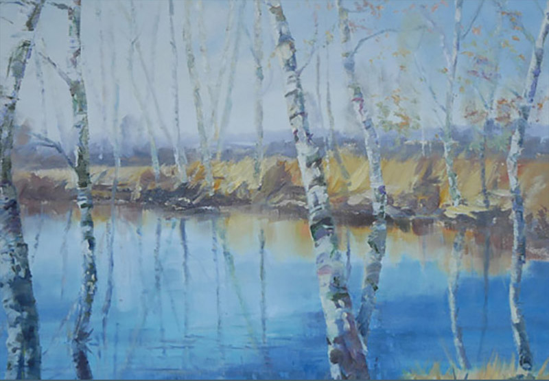 Brich trees in the (Hiller) bog