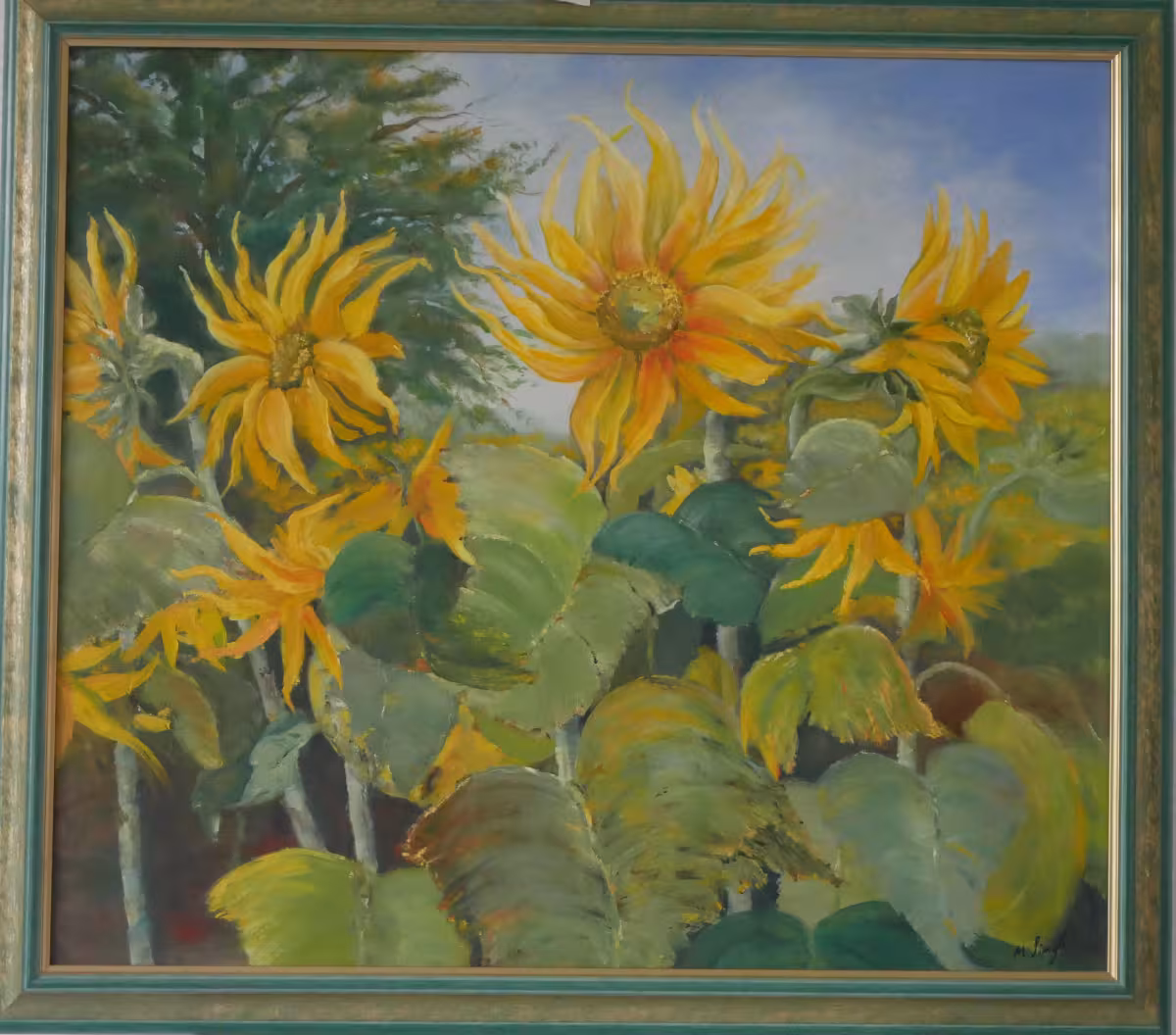 Sonnenblumenfeld