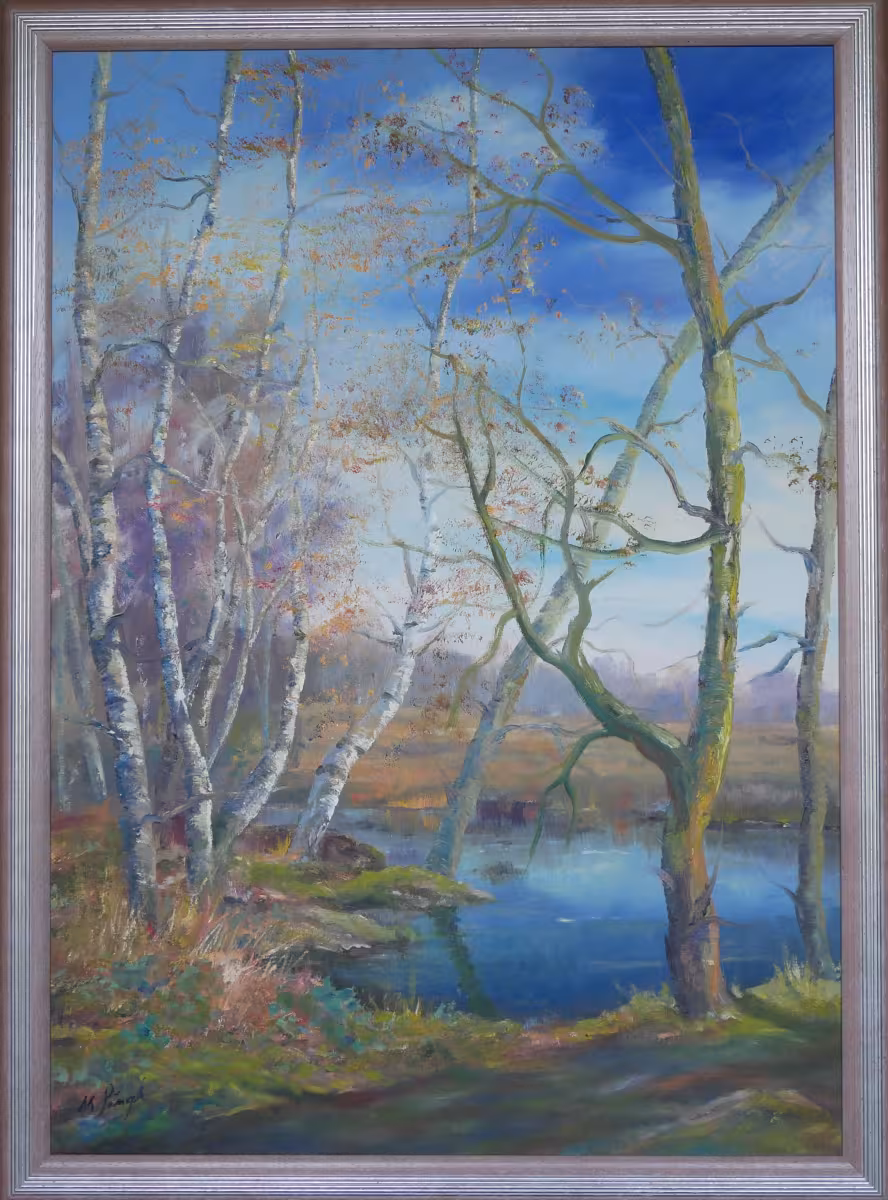 Weg am Wasser im (Hiller) Moor