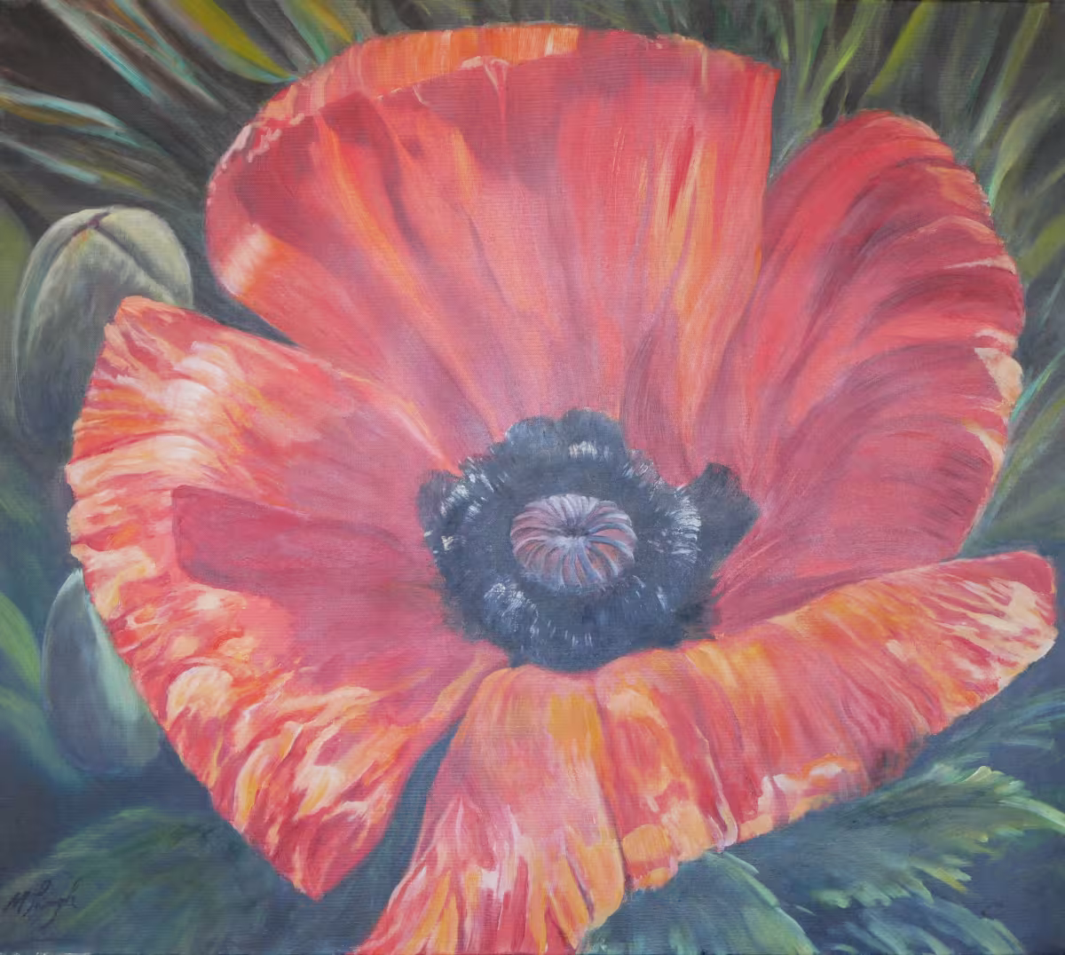 Die Mohnblume