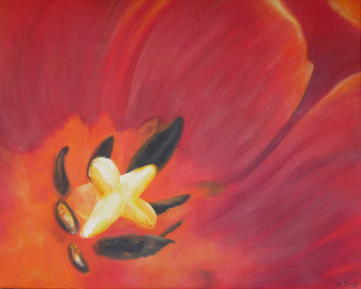Im roten Tulpenkelch