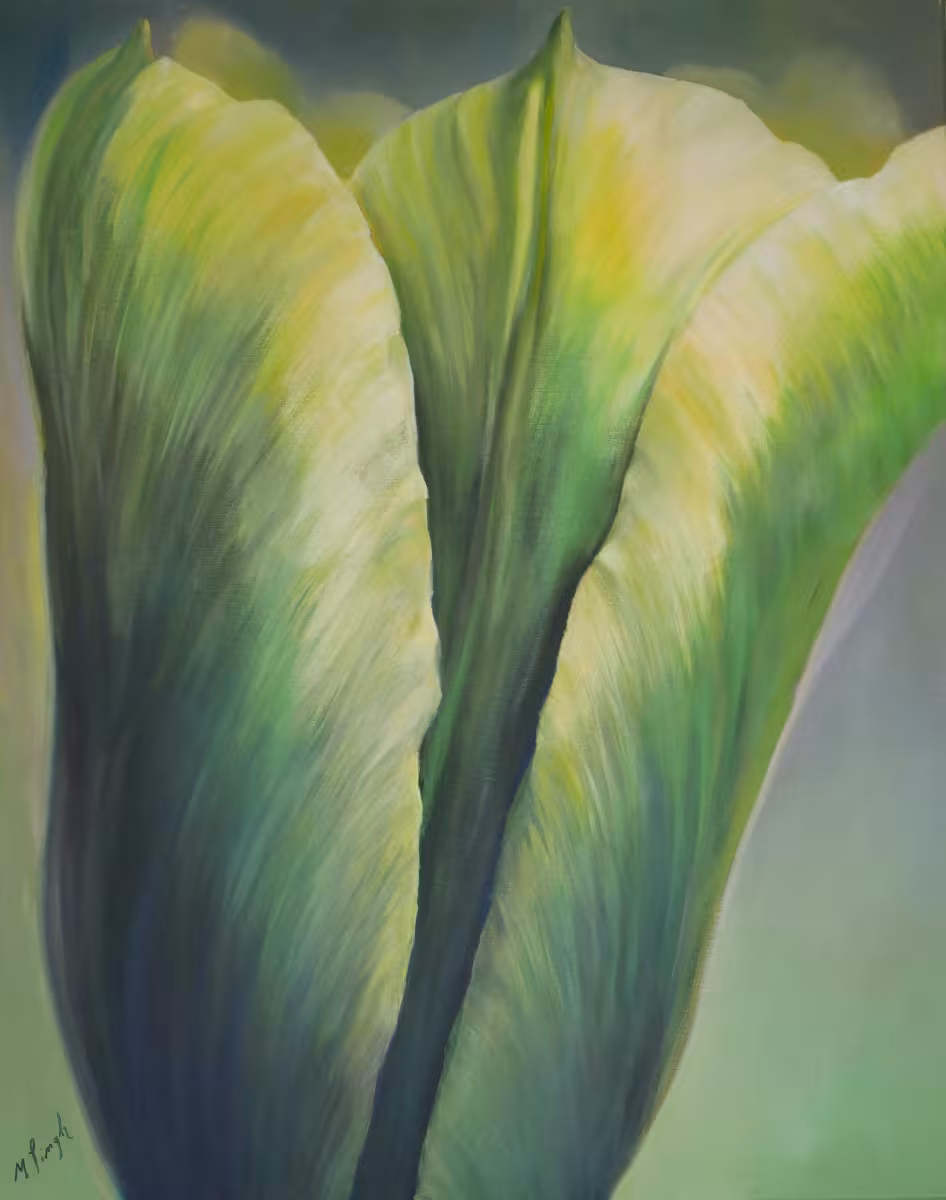 Gelbgrüne Tulpe