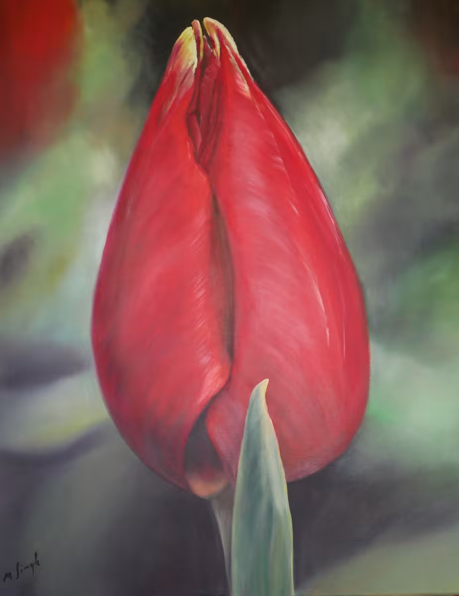 Rote Tulpe mit einem Blatt