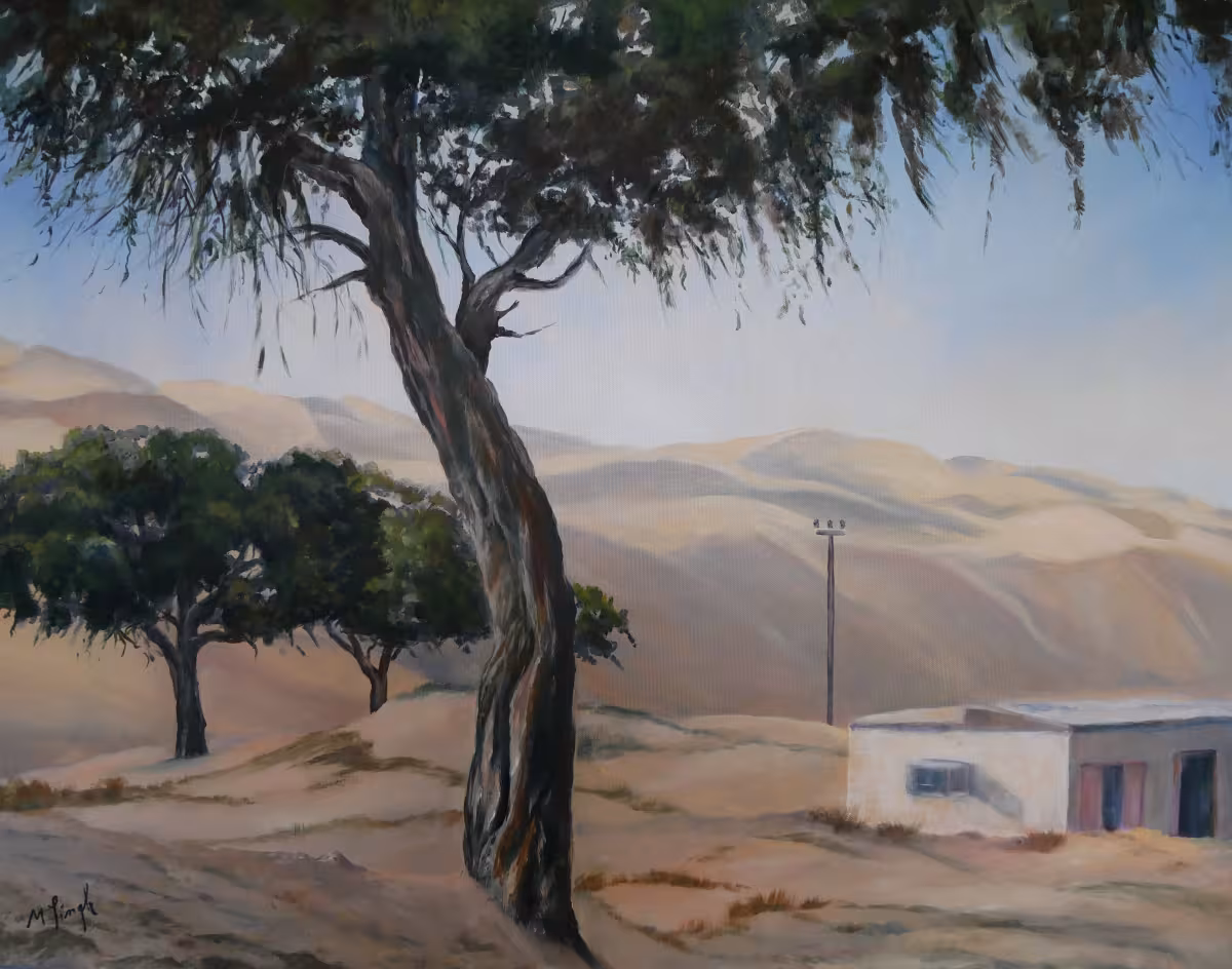Am Rande der Wüste (in Dubai, Baum im Vordergrund)