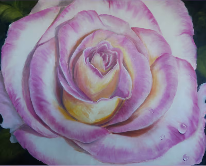 Rose in pinkgelb