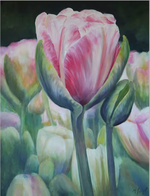Kleine rosa Tulpe angeschmiegt