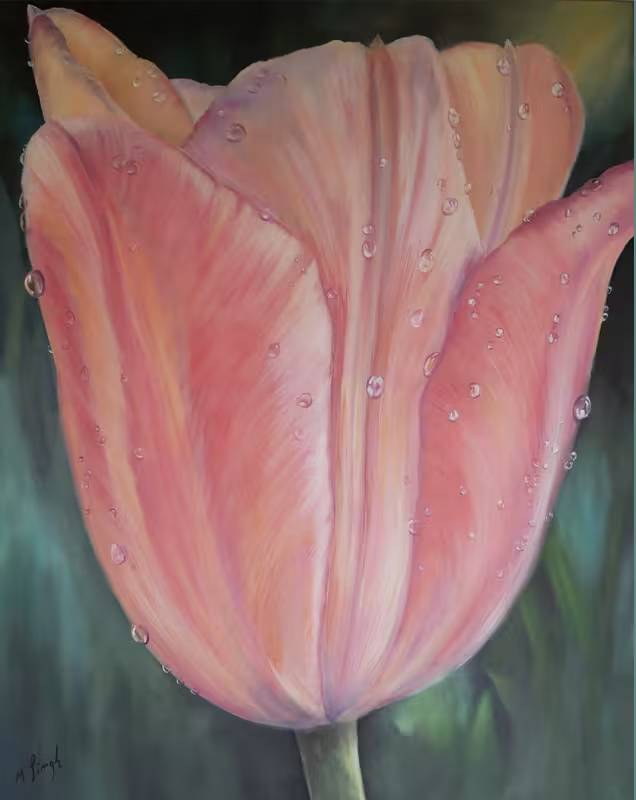 Tulpe in Pink-Pfirsisch