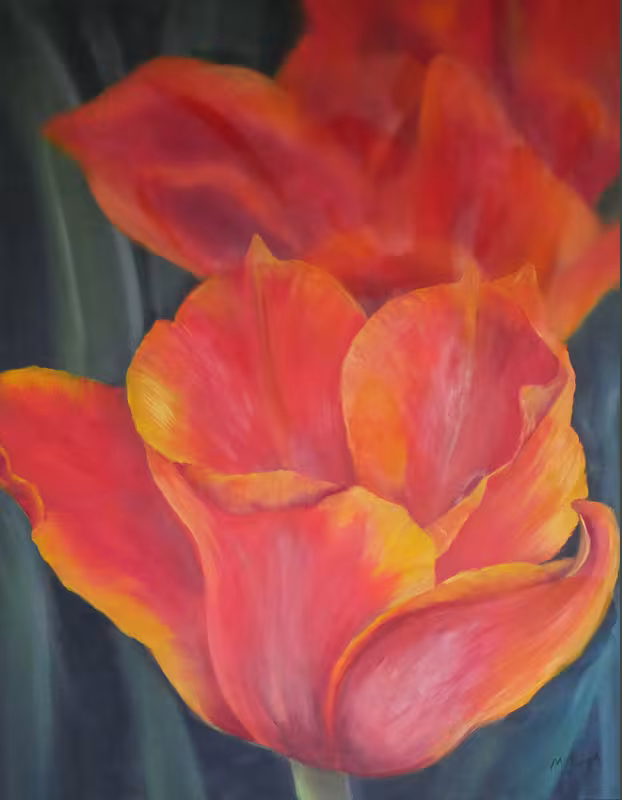 Orange-rot-gelbe Tulpenblüten
