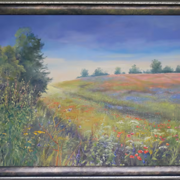 Sommerwiese (an der Müritz)
