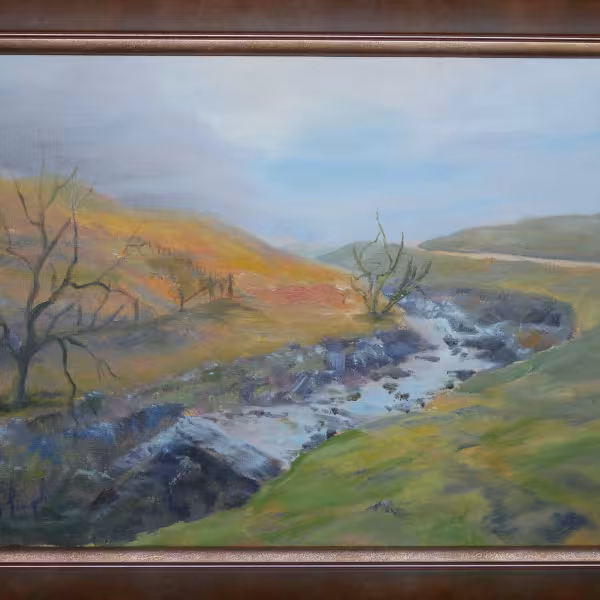 Das Flussbett im (Lake District Nordengland)