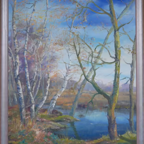 Weg am Wasser im (Hiller) Moor