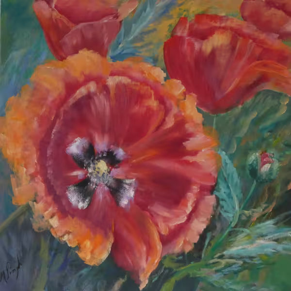 Mohnblüten