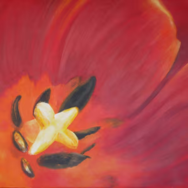 Im roten Tulpenkelch