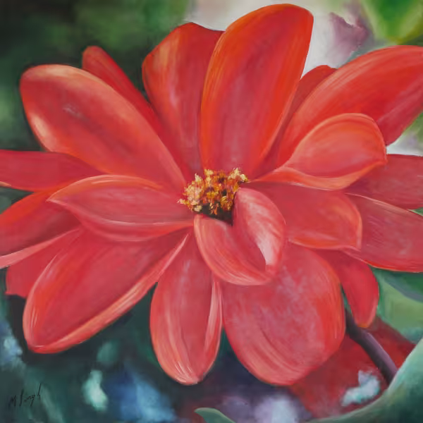 Rote Dahlienblüte