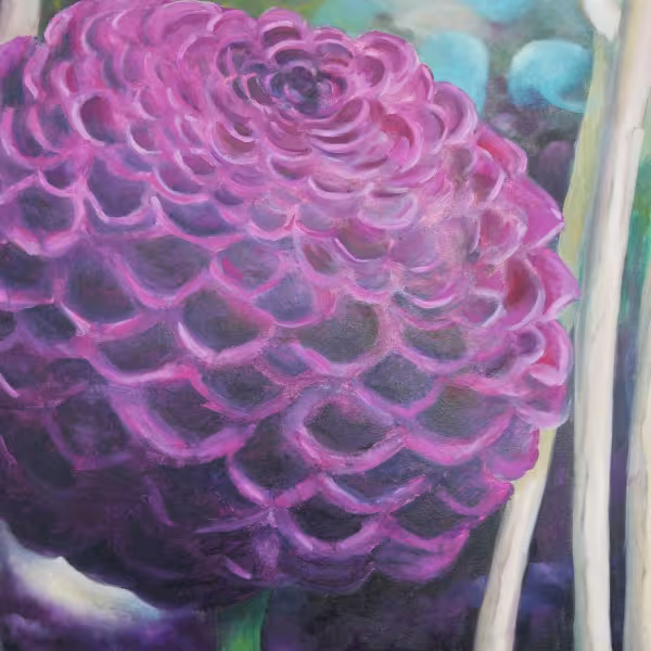 Dahlienball in violett