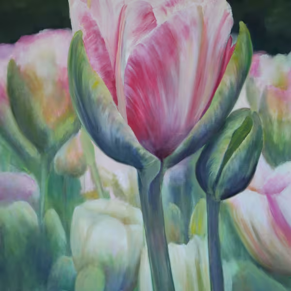 Kleine rosa Tulpe angeschmiegt