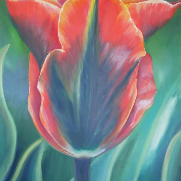 Orange-rote Tulpe mit grüner Mitte