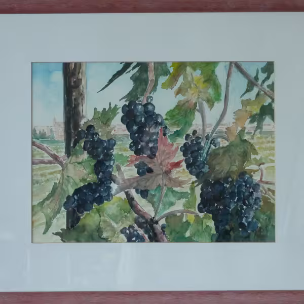 Chianti in der Toskana