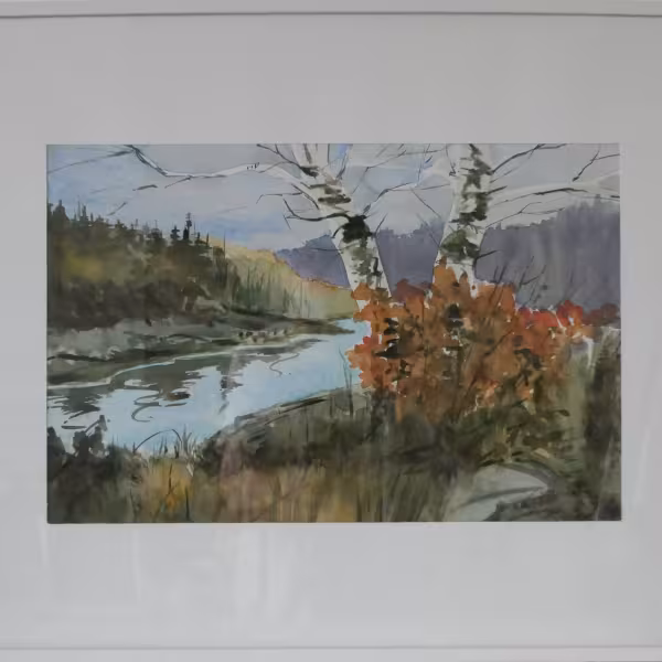 Birke am Fluss