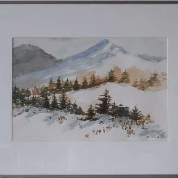 Berge und Tannen im Schnee