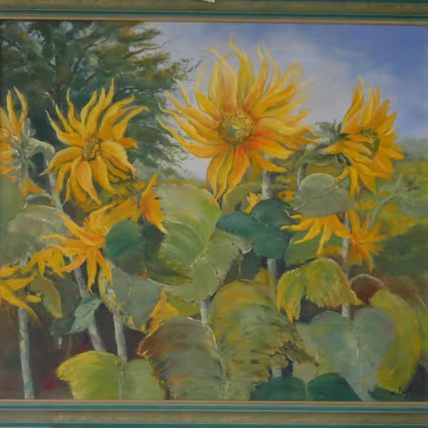 Sonnenblumenfeld