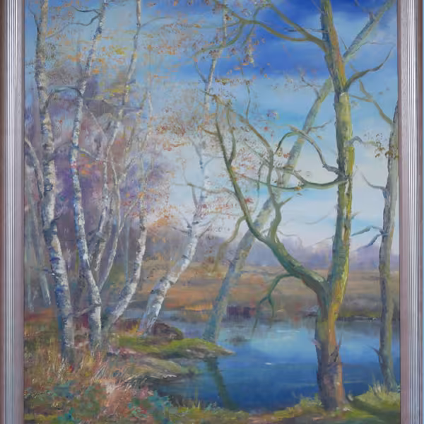 Weg am Wasser im (Hiller) Moor