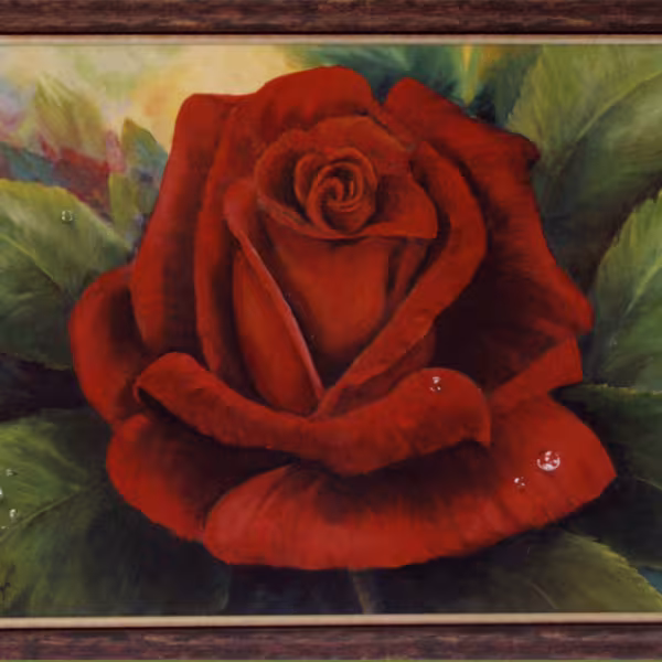 Rose dunkelrot