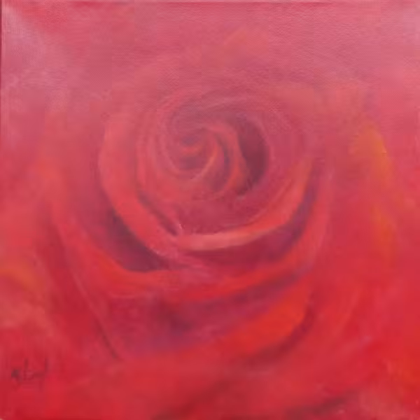 Kleine Rose